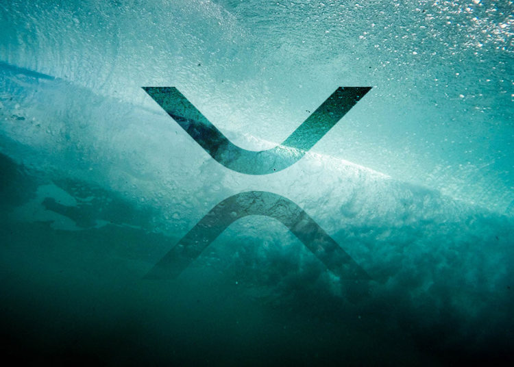 XRP, Chainlink (LINK) lead large-cap gains as crypto markets jump