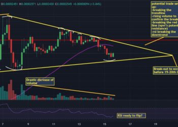Crypto Weekly Insight: Story Of Two Very Prominent Space Dogs: Russian Laika and… Shiba Inu.