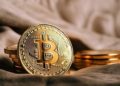Bitcoin Holdings in Public Company Treasuries Exceed 200,000 BTC