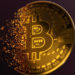 Bitcoin Circulation and Active Addresses Holding Steadily Despite Retracement