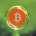 The ‘Bitcoin Bubble’ Hasn’t Even Started Yet, Says Analyst
