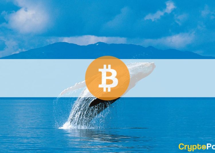 Third-Largest Bitcoin Whale Sold at $56K and Bought Back at $57K a Day Later