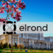 Elrond Aims to Acquire an e-Money Licensed Company in Romania