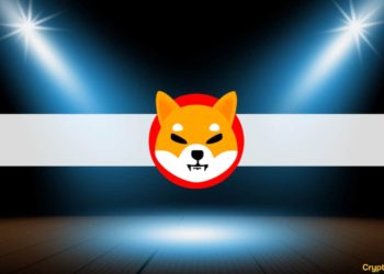 Elon Musk Says He Doesn’t Own Shiba Inu Tokens, Enraging SHIB Hodlers
