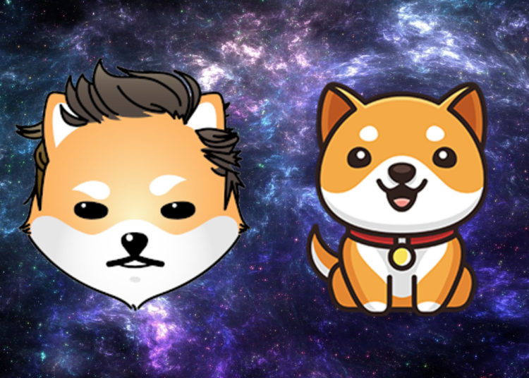 As DOGE, SHIB Markets Fall Back, Baby Doge Coin and Dogelon Mars Prices Skyrocket – Markets and Prices Bitcoin News