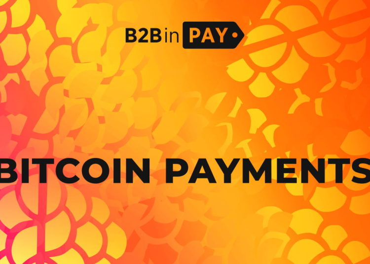 How to Find a Reliable Provider of Bitcoin Payments – Press release Bitcoin News