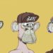 Bored Ape Yacht Club To Launch Token in 2022