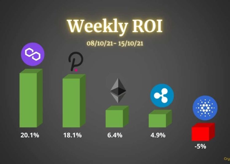 Ethereum, Ripple, Cardano, Polkadot & Matic