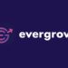 EverGrow Aims To Become The Next 100x Coin Like SAFEMOON with its Unique Rewards in BUSD
