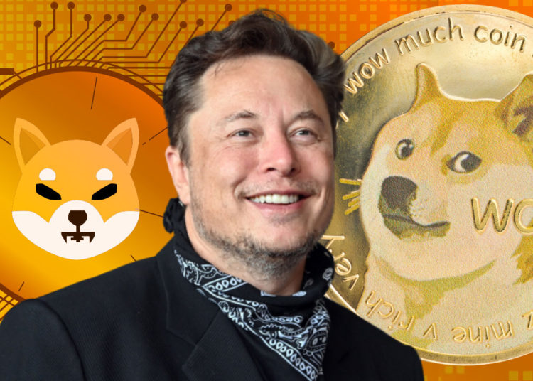 Elon Musk Discusses Important Dogecoin Improvements, Confirms No Investment in Shiba Inu – Bitcoin News