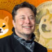 Elon Musk Discusses Important Dogecoin Improvements, Confirms No Investment in Shiba Inu – Bitcoin News