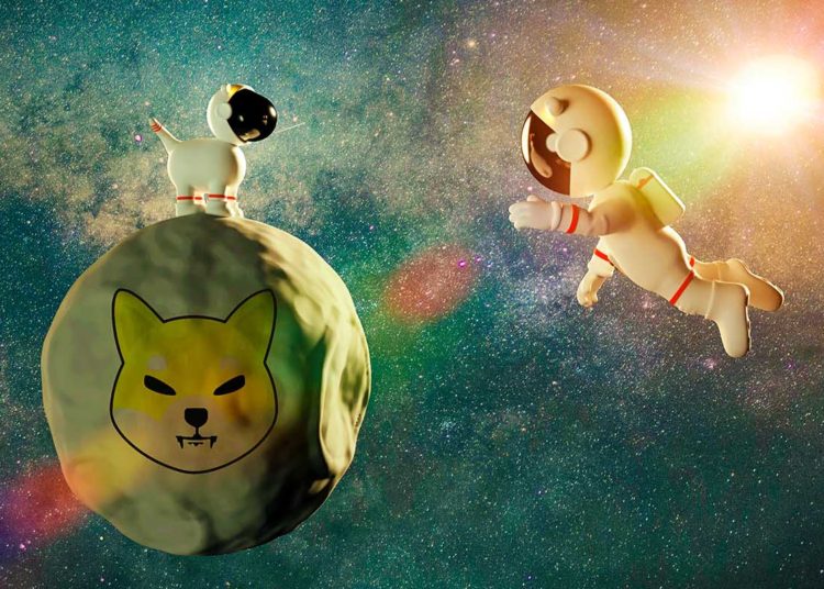 Is Elon Musk a Shiba Inu Holder? Tesla CEO Says He Owns These Three Crypto Assets