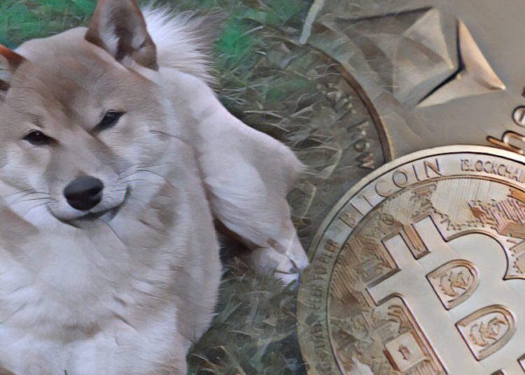 Shiba Inu (SHIB) jumps 7% while Bitcoin, Ethereum trade sideways