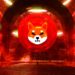 This Shiba Inu On-Chain Metric Could Signal Future Price Rallies: Crypto Analytics Firm Santiment