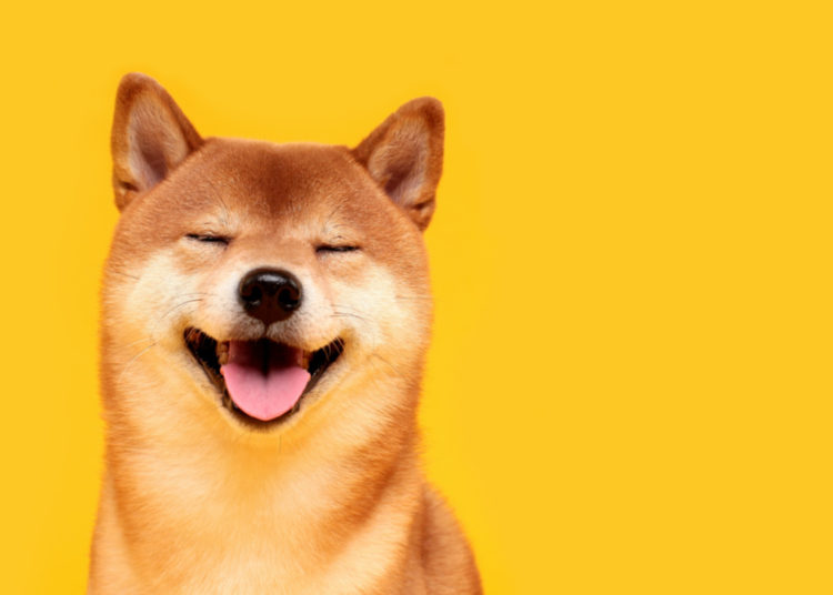 Shiba Inu Soars Knocking Dogecoin Down a Notch — 20 Holders Own 75% of the SHIB Supply – Market Updates Bitcoin News