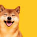 Shiba Inu Soars Knocking Dogecoin Down a Notch — 20 Holders Own 75% of the SHIB Supply – Market Updates Bitcoin News