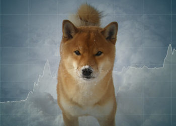 Shiba Inu (SHIB) defies critics with buoyant NFT demand and new all-time high