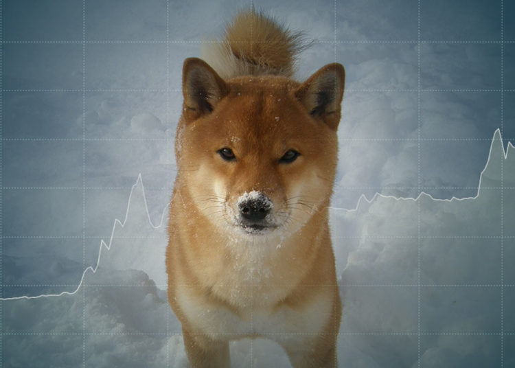 Shiba Inu (SHIB) defies critics with buoyant NFT demand and new all-time high