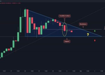 After 13% Daily Drop, SHIB Eyes Crucial Support Level