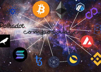What is the Multi Chain Universe?