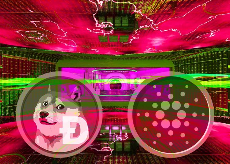 Dogecoin Adoption in the US Supercedes Bitcoin and Ethereum, According to New Crypto Survey