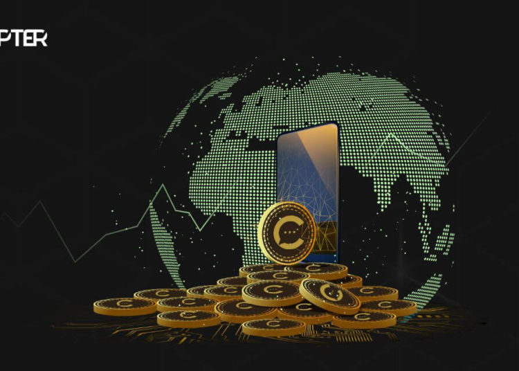 From SafeMoon to SHIB: Welcome To The x100 World 