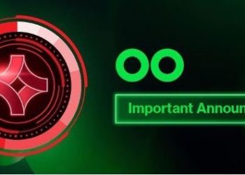 ChainGain announces great success after it’s IDO