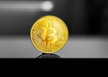 Bitcoin Addresses Holding for More Than a Year Hit an ATH with 10.15 Million BTC