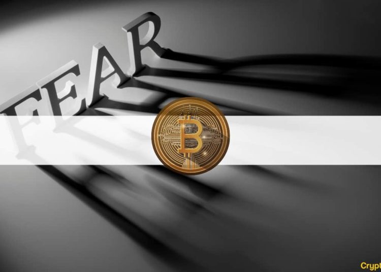 Bitcoin’s Fear & Grid Index Shows Fear
