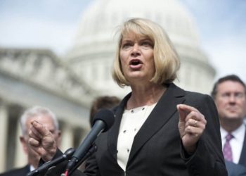Pro Bitcoin Senator Cynthia Lummis Takes Aim at SHIB And Other Memecoins