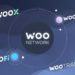 DeFi Startup WOO Network Secures $30M in Oversubscribed Series A Round