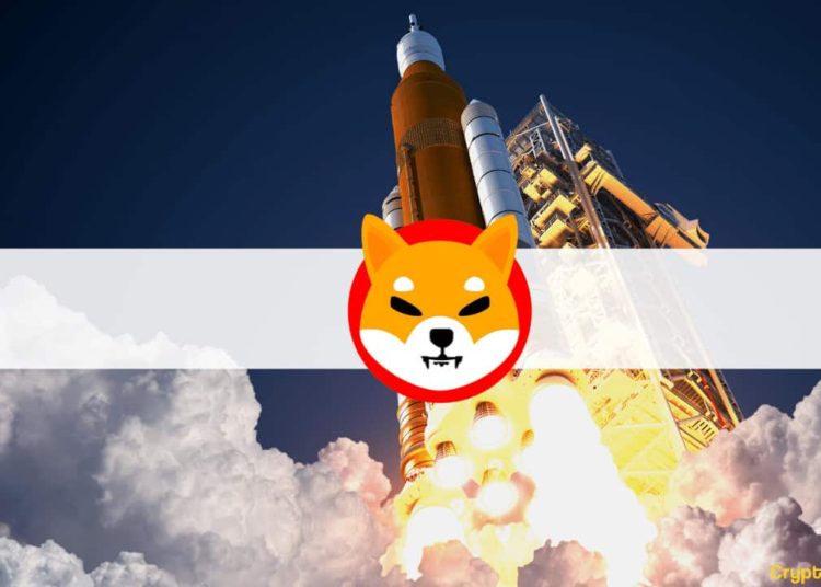 Shiba Inu Rebounds 20% as Bitcoin Struggles With $60K