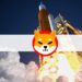 Shiba Inu Rebounds 20% as Bitcoin Struggles With $60K