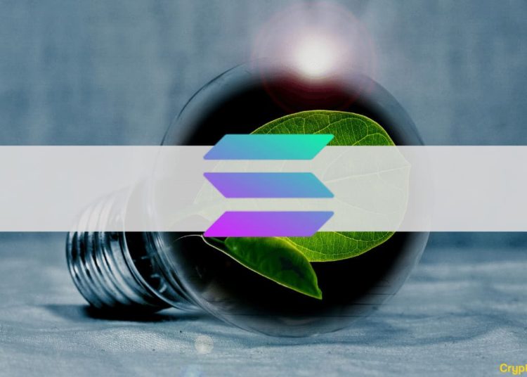 The Solana Network Is Greener Than Google: Report