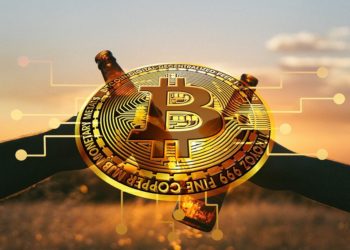 Reserve Bank of Australia warns Aussies about crypto, question its validity