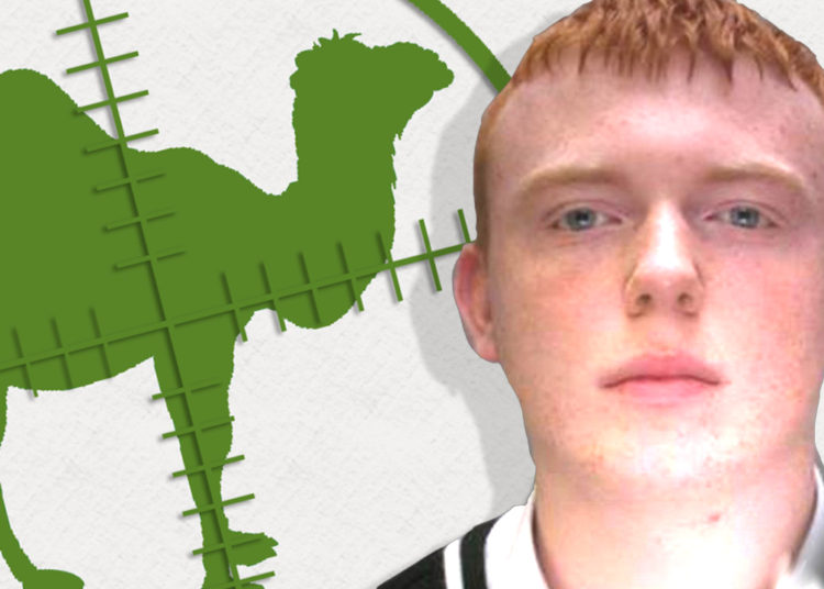 Silk Road 2 Admin Forfeits $667,000 in Bitcoin to British Law Enforcement – Bitcoin News