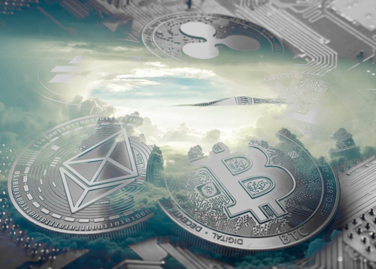 Apple boss Tim Cook reveals his interest in crypto, holds some in portfolio