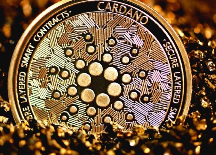 ADACash Issues Over $1.5 Million In Rewards One Month After Launch