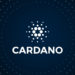 Over $18.24 billion transacted on Cardano in a single day last week