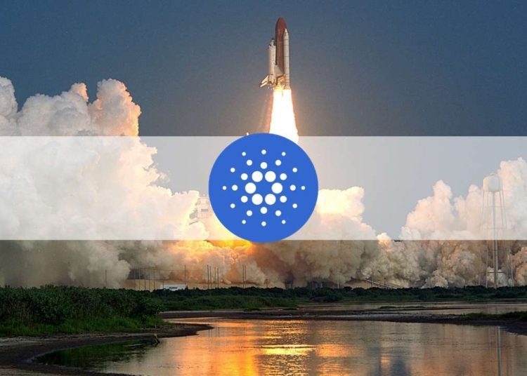 Cardano Soars 12% (Market Watch)