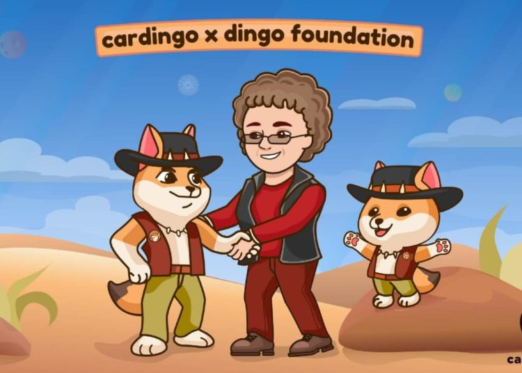 a Curated Designer NFT Marketplace and Series for Cardano – Press release Bitcoin News