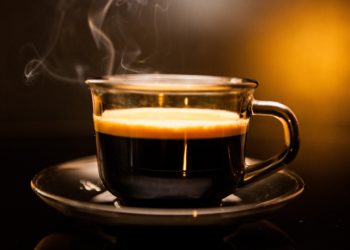 Shiba Coffee Company Introduces Coffee-backed Shiba Inu Token Burning