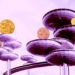 Top Crypto Analyst Says Monster Rally in Sight for Polkadot, Predicts Bullish Continuation for One Low-Cap Altcoin