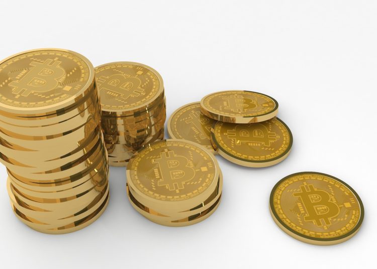 Vitalik Buterin receives Dogs of Elon crypto to his ENS address