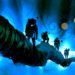 5 Altcoins Set To Rally As New Phase of Bitcoin Bull Run Begins, According to Crypto Analyst Michaël van de Poppe
