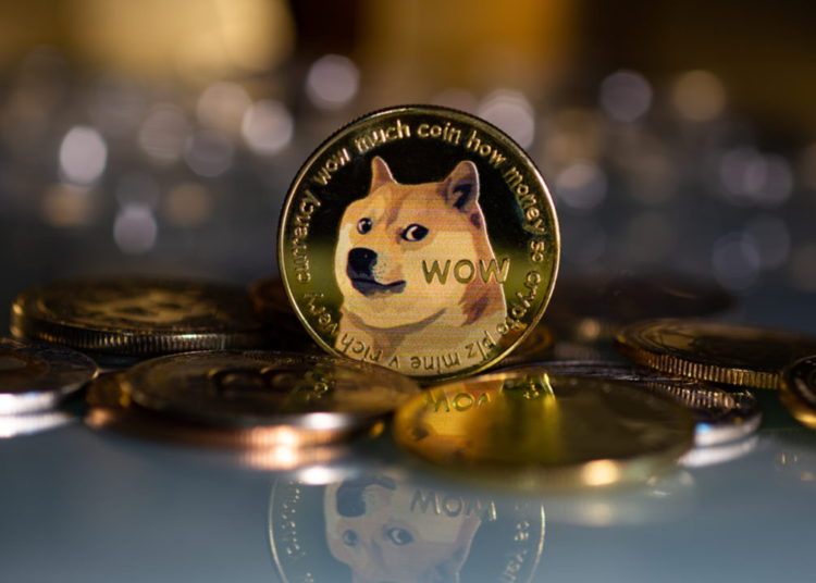 How to Recover a Lost Dogechain.info Wallet Password and Unblock 2FA