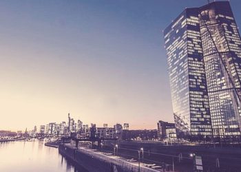 ECB Exec Bats In Favor Of Digital Euro