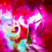 Ethereum and Dogecoin Primed for Breakouts As Crypto Markets Gear Up for Bullish December, According to Analyst Justin Bennett