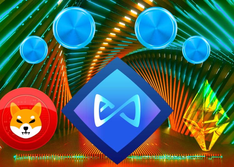 Top Ethereum Whales Accumulating Axie Infinity, Shiba Inu and 7 Additional Altcoins: Report
