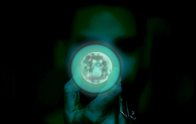 Bitcoin Cash Spikes, Crashes After Fake Announcement About Partnership With Major Grocery Retailer